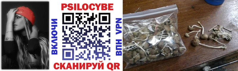Псилоцибиновые грибы Cubensis  продажа наркотиков  Гороховец 